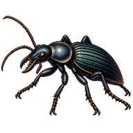 Snail Hunter