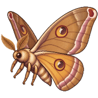 Tussar Silk Moth