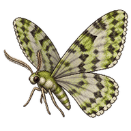 Lime-Speck Pug