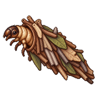 Common Bagworm Caterpillar