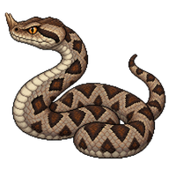 Nose-horned Viper