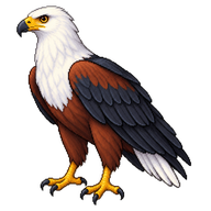 African Fish Eagle