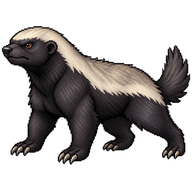 Honey Badger