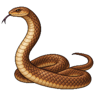 Eastern Brown Snake