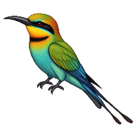 Rainbow Bee-eater