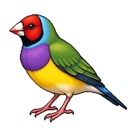 Gouldian Finch
