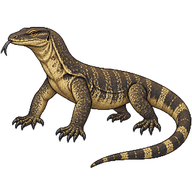 Nile Monitor