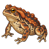 Rococo Toad