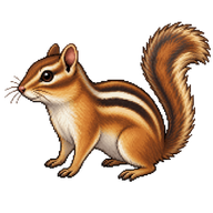 Eastern Chipmunk
