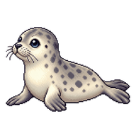 Harbor Seal Pup