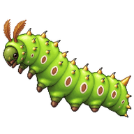 Polyphemus Moth Larva