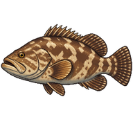 Bridlebass