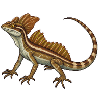 Brown Basilisk