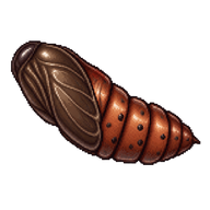 Dark Sword-Grass Pupa