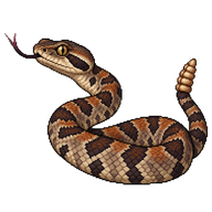 Timber Rattlesnake Hatchling