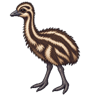Emu Chick