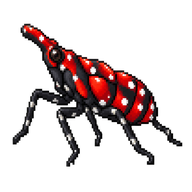 Spotted Lanternfly Nymph