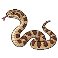Bullsnake Juvenile