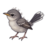 California Gnatcatcher Nestling