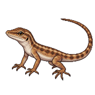 Brown Anole Juvenile
