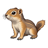 Richardson's Ground Squirrel Pup