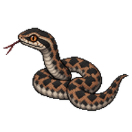 Adder Neonate