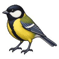 Great Tit