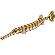 Chinese trumpetfish
