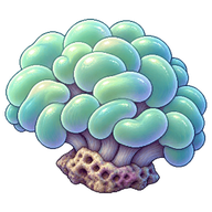 Bubble Coral