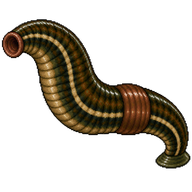 Medicinal Leech