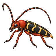 Redheaded Ash Borer