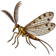 Hangingfly
