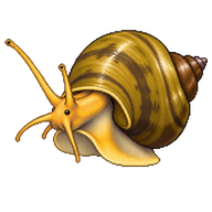 Spike-topped applesnail