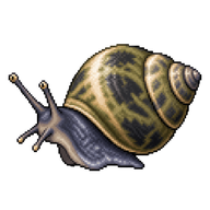 Common Periwinkle
