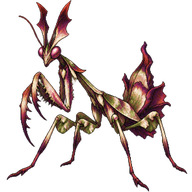 Devil's Flower Mantis