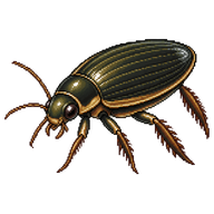 Lesser Diving-beetle