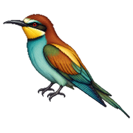 European Bee-eater