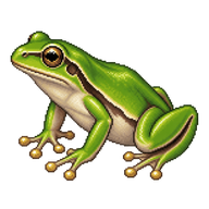 European Tree Frog