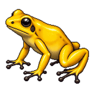 Golden Poison Frog