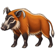 Red River Hog