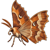 Early Thorn