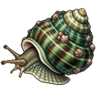 Giant Green Turban