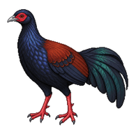 Crestless Fireback