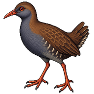 Snoring Rail