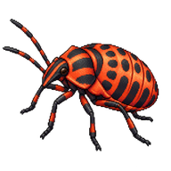 Italian Striped Bug Nymph