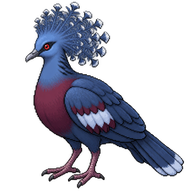 Western Crowned-Pigeon