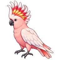 Pink Cockatoo