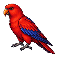 Red Lory