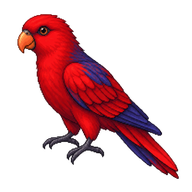 Cardinal Lory