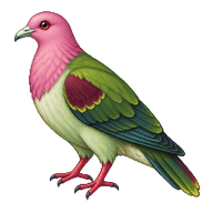 Pink-headed Fruit Dove